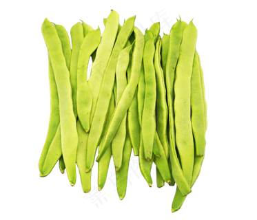 绿色有机扁豆角
