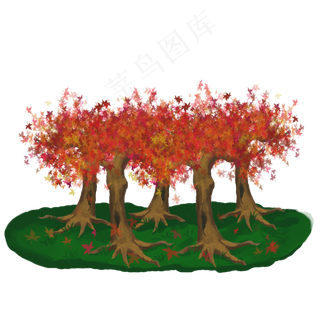 立秋枫树一片树林可用于卡通装饰