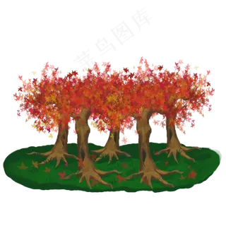 立秋枫树一片树林可用于卡通装饰
