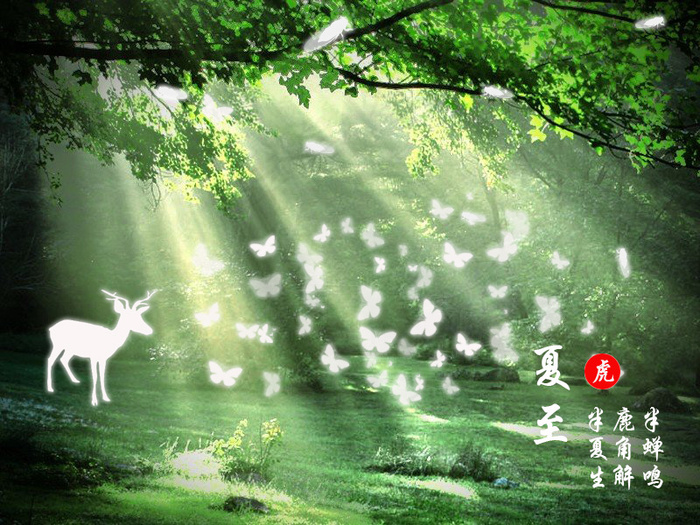 夏至鸣蝉蝴蝶psd模版下载