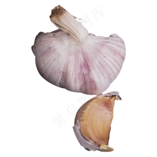 大蒜实物拍摄png