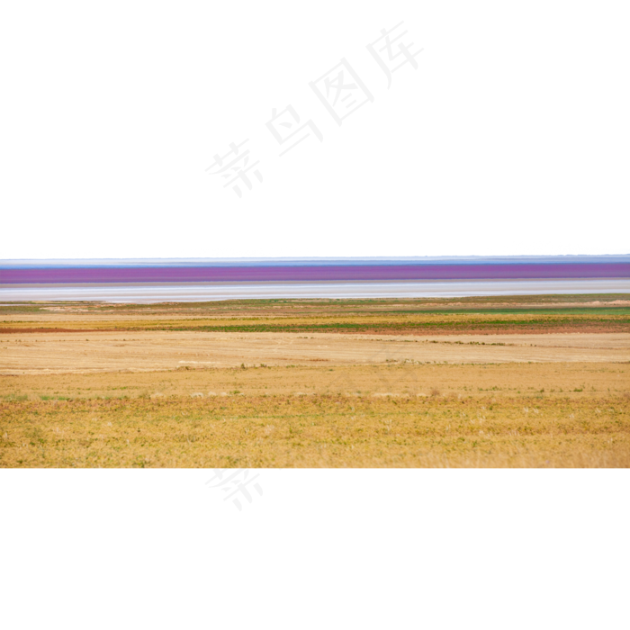 金色秋天的麦田(2000X2000(DPI:300))psd模版下载