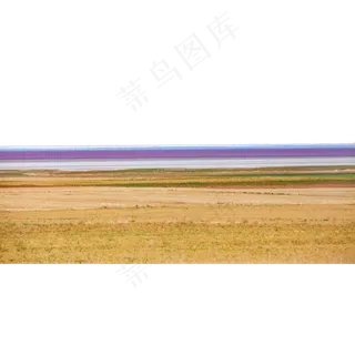 金色秋天的麦田