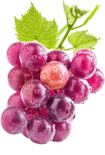 葡萄 提子 水果