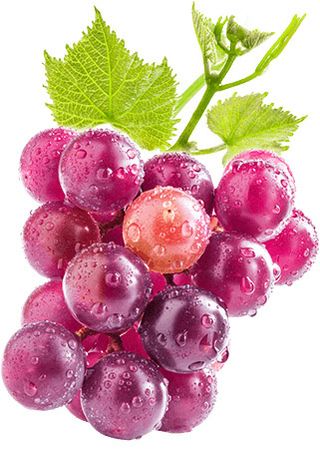 葡萄 提子 水果