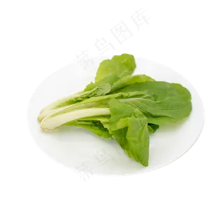 小白菜蔬菜摄影实物 小白菜蔬菜摄影实物
