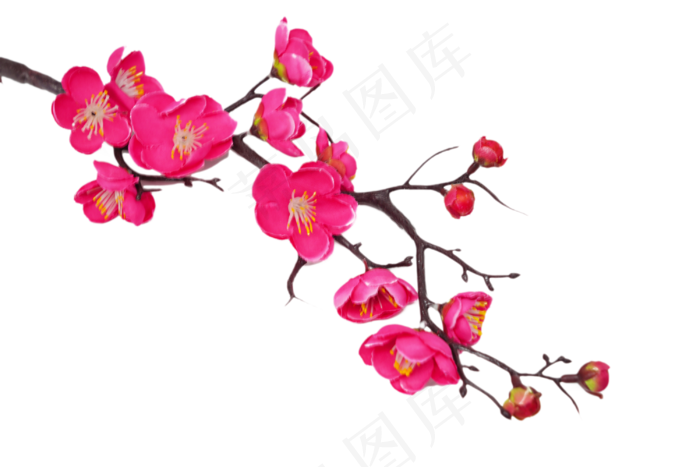 梅花花开花枝(2998*2000px 300 dpi )