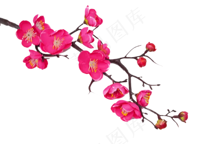 梅花花开花枝(2998*2000px 300 dpi )