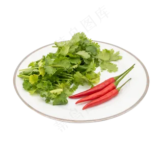 绿色蔬菜香菜 绿色蔬菜香菜