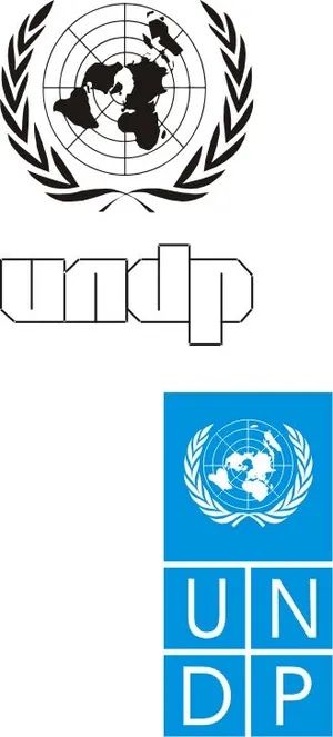 联合国开发计划署