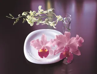 电视墙背景画效果图片