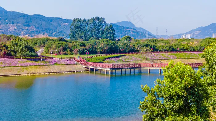 公园风景照