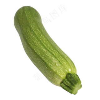 厨余垃圾西葫芦