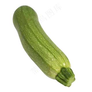 厨余垃圾西葫芦