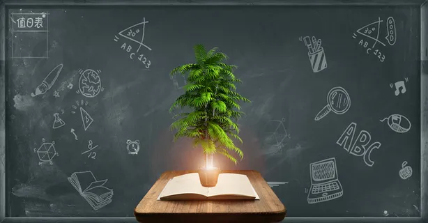 创意教育学习书本