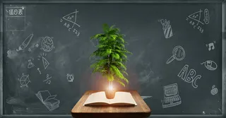 创意教育学习书本