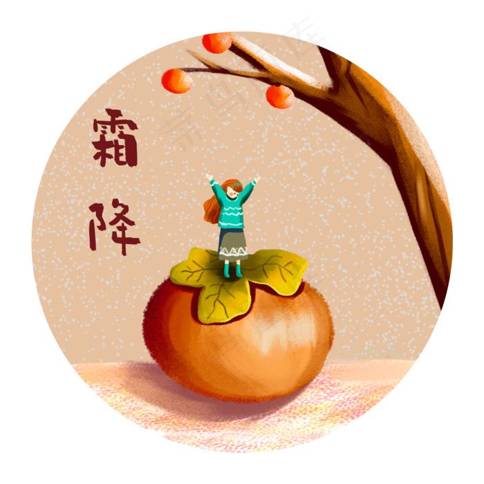 霜降节气柿子插画