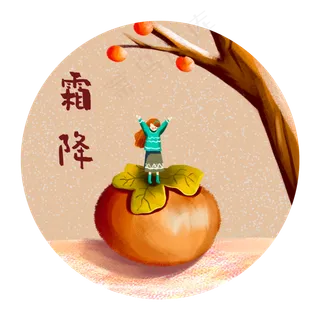 霜降节气柿子插画