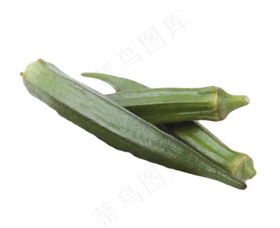 药用价值秋葵好吃 药用价值秋葵好吃