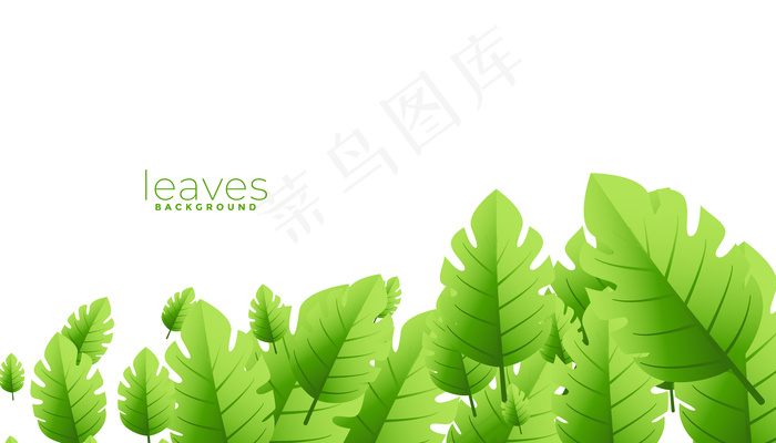 热带异域绿叶背景设计eps,ai矢量模版下载