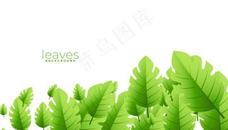 热带异域绿叶背景设计