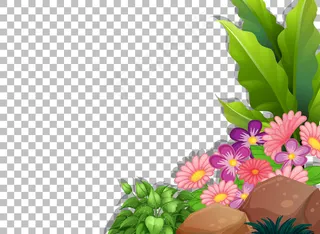 透明背景上有叶子的粉红色花朵