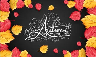 手绘喜庆秋意背景