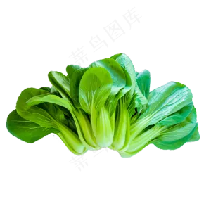 有机蔬菜