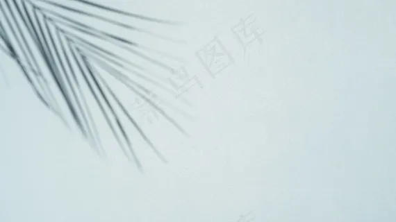 浅蓝色背景上的棕榈叶阴影