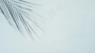 浅蓝色背景上的棕榈叶阴影
