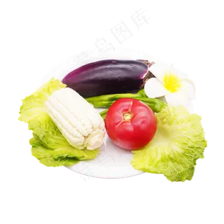 餐饮食材蔬菜