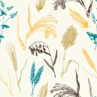 手绘谷类作物图案。植物学背景。