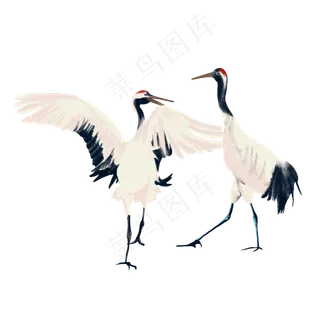 重阳节仙鹤求偶 重阳节仙鹤求偶