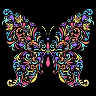 黑色背景上的花蝴蝶