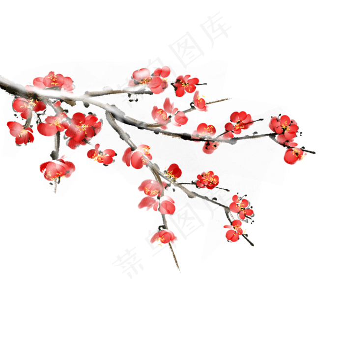 冬天腊梅水墨风插画