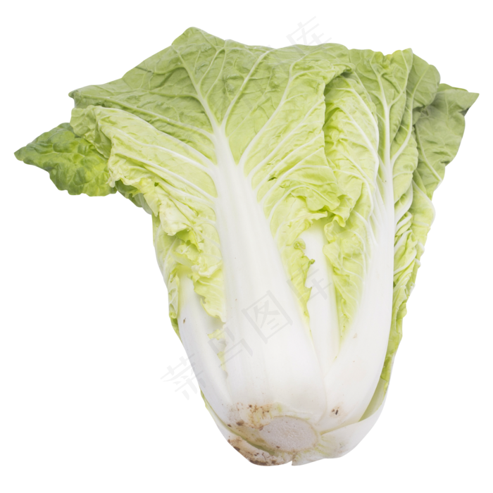 一棵白菜蔬菜实拍