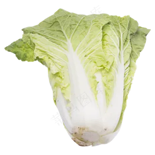 一棵白菜蔬菜实拍