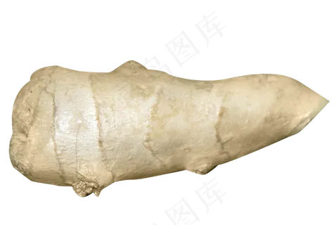 食材蔬菜佐料新鲜生姜