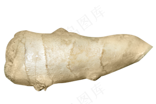 食材蔬菜佐料新鲜生姜