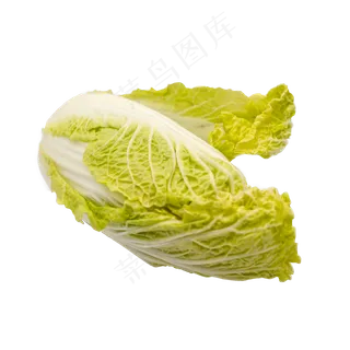 白菜娃娃蔬菜实物拍摄