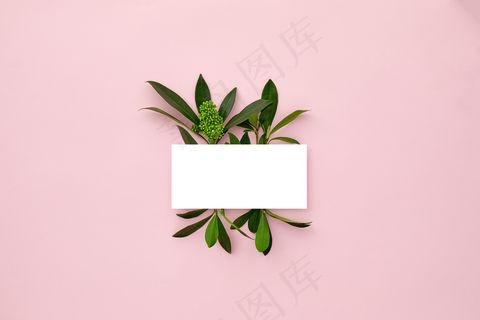 用绿叶和兰花做成的布局