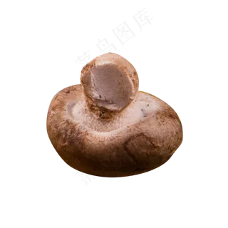 灰色圆弧香菇食物元素