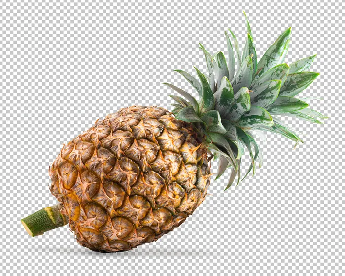 菠萝果psd模版下载
