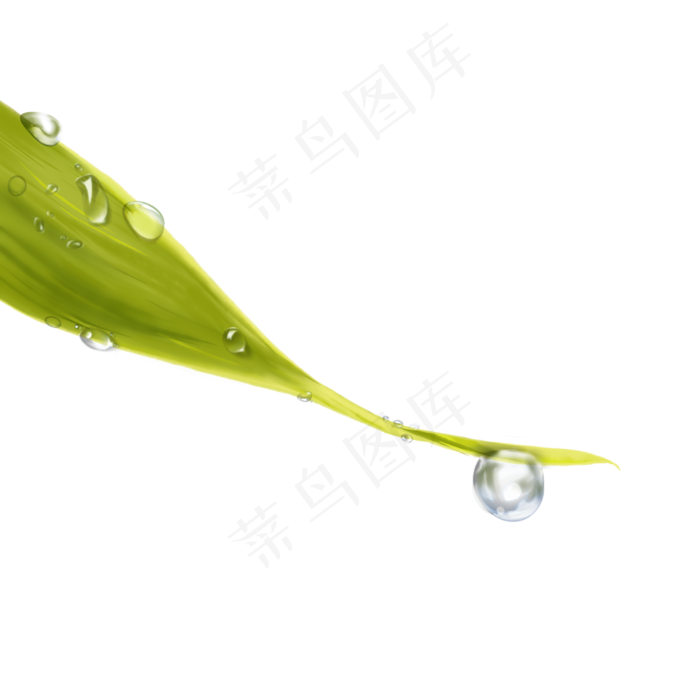 白露节气  露水