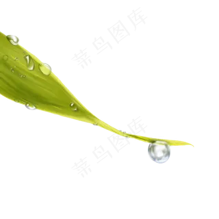 白露节气  露水