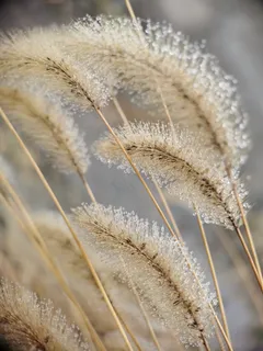 1 1