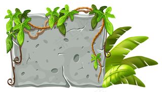 带有藤本植物枝叶的石板。