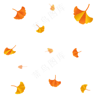 秋天银杏落叶漂浮