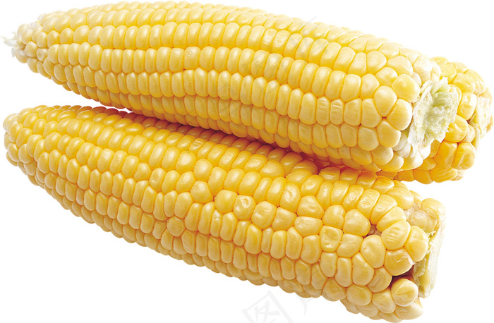玉米 蔬菜