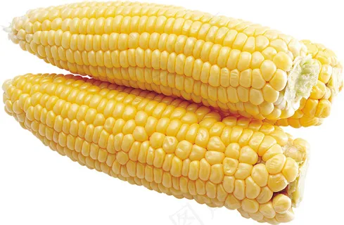玉米 蔬菜